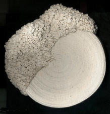 Simone PHEULPIN Plasticienne Textile